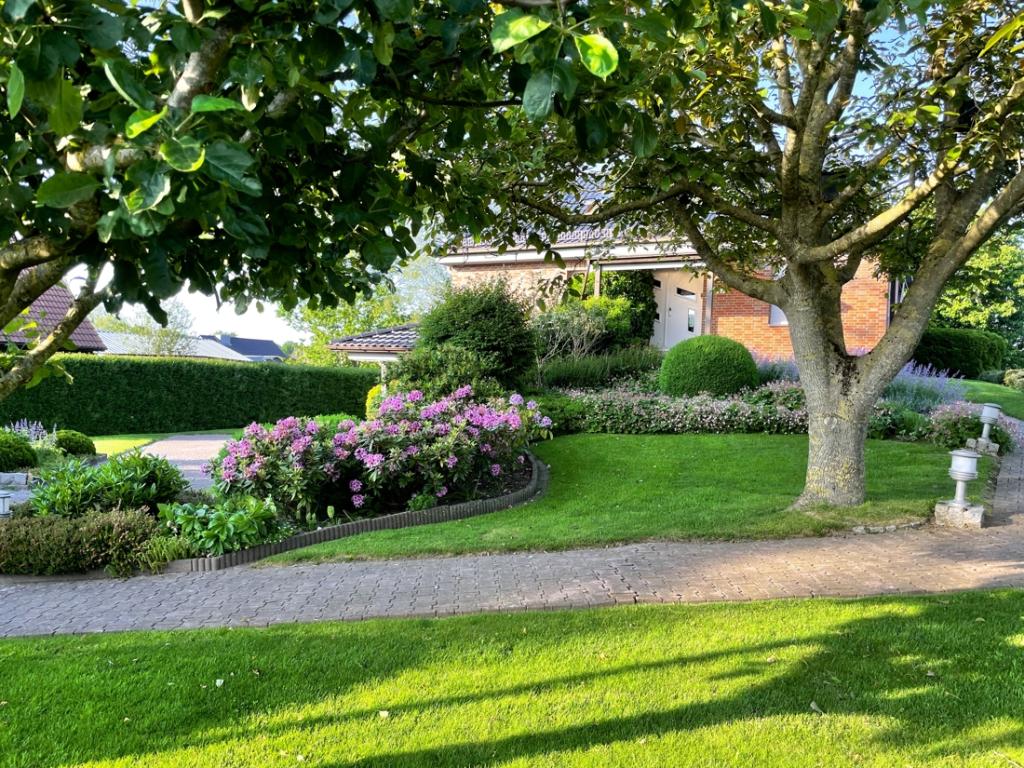 Garten Vorderseite