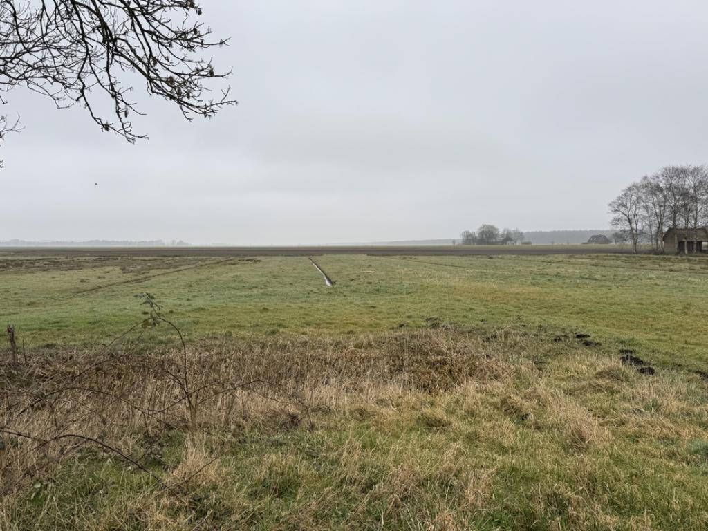 Hausweide