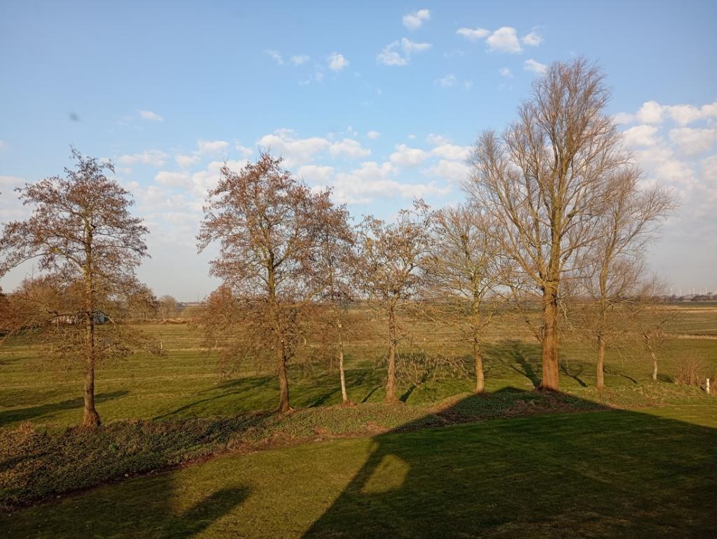 Blick in die Felder vom OG
