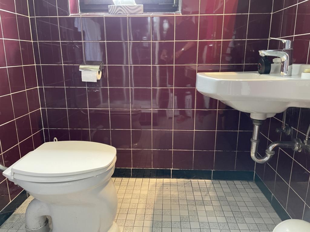 Gäste WC im EG m. Dusche