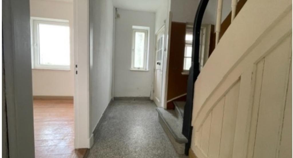 Bild-2