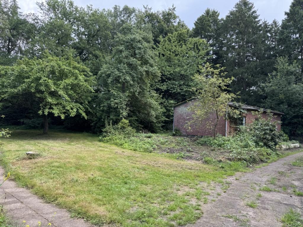 Garten/ Grundstück