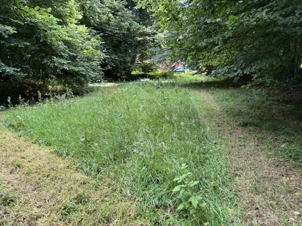 Garten/Grundstück