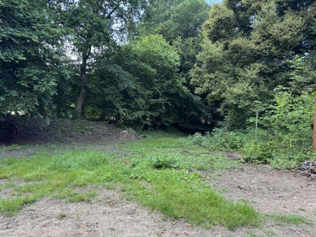 Garten/ Grundstück