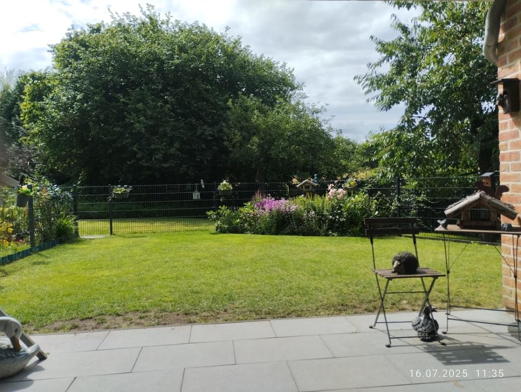 Blick von der Terrasse