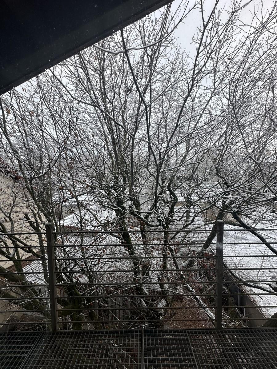 Aussicht Balkon DG