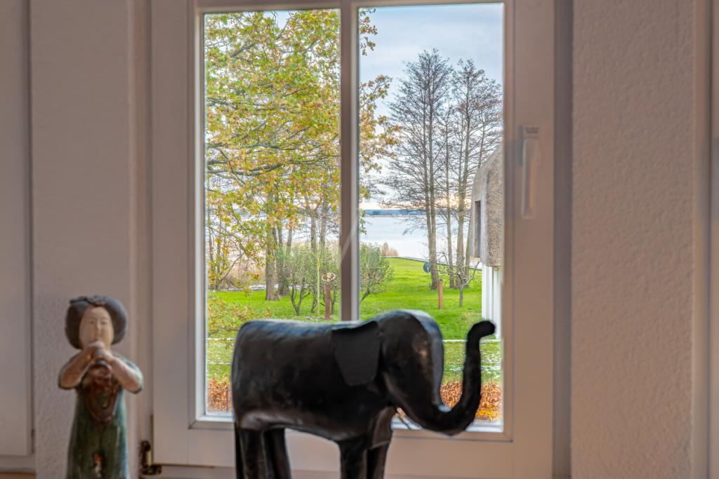 schimmernder Boddenblick