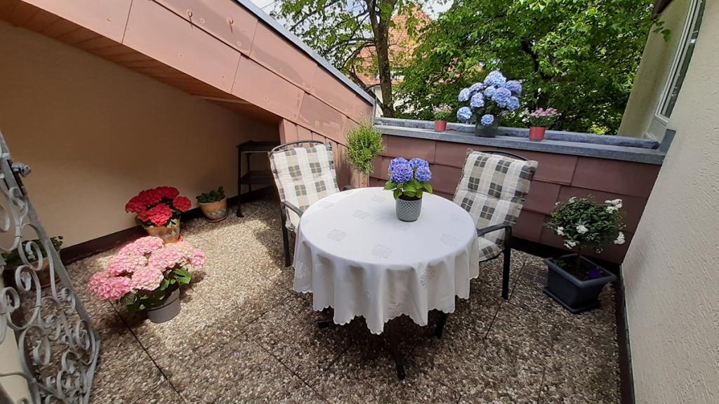 Dachterrasse.jpeg
