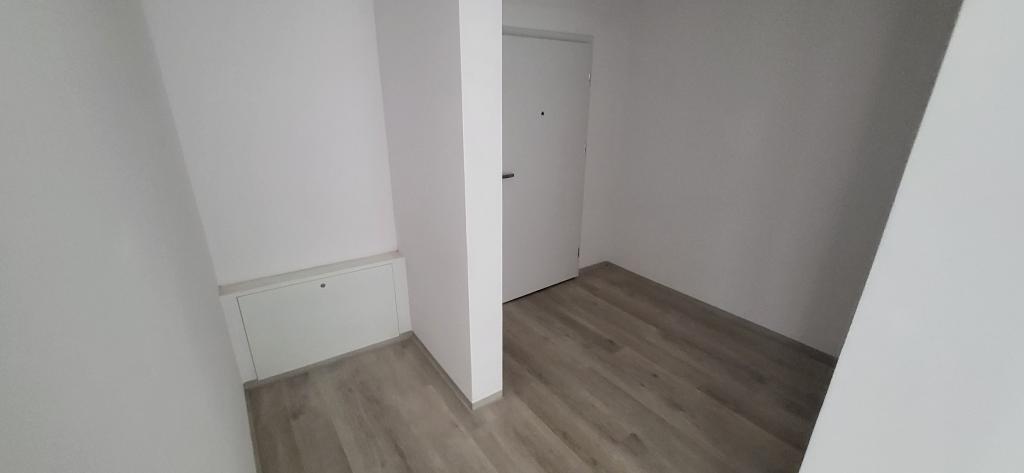 42521581.jpg