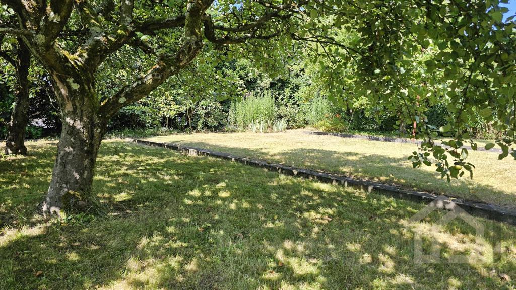 Garten 2