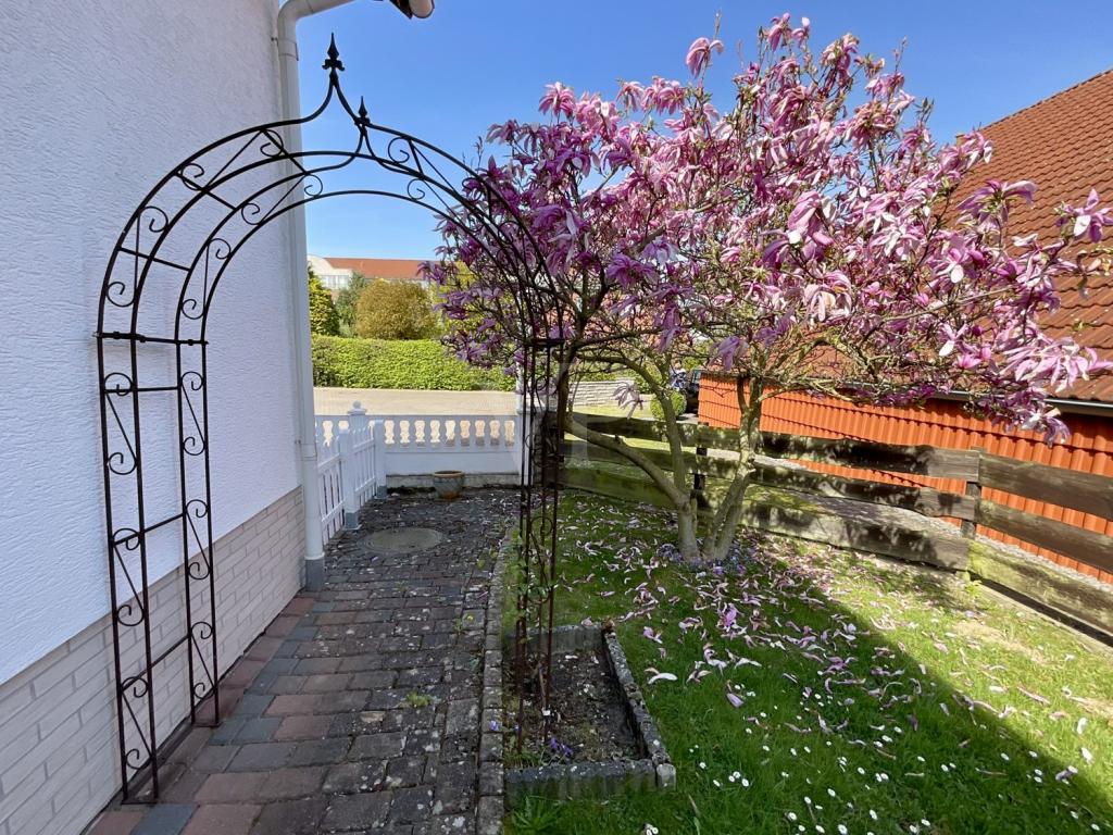 Seitlicher Garten