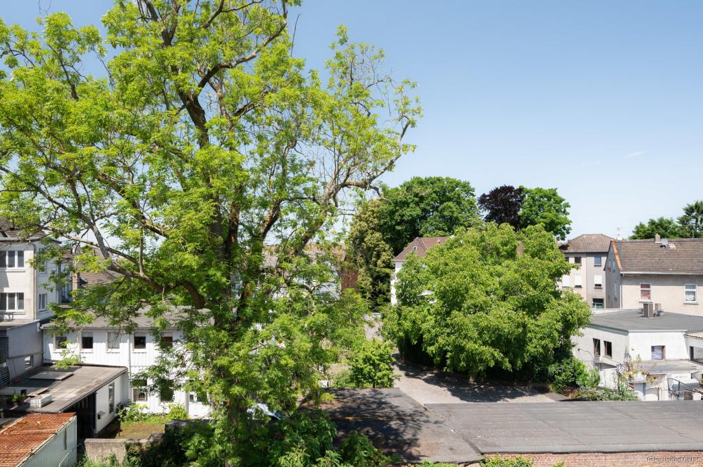 Innenhof Historischer Baum