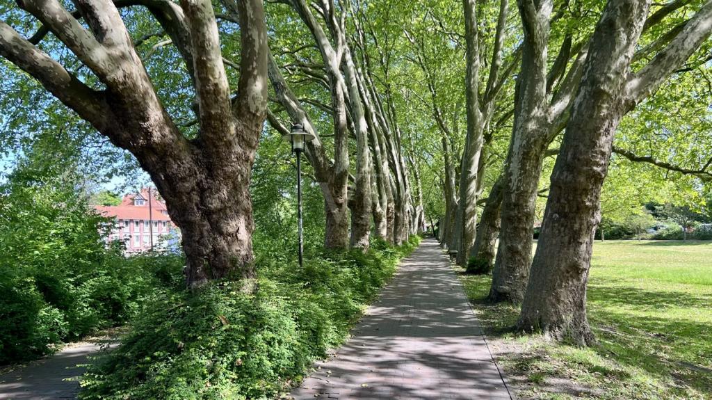 Impressionen der Umgebung