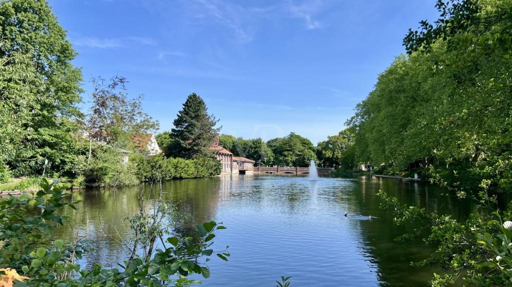 Impressionen der Umgebung