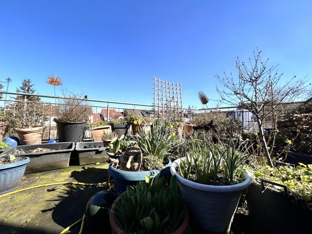 Große Dachterrasse