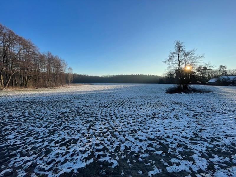 Eggersdorf 2