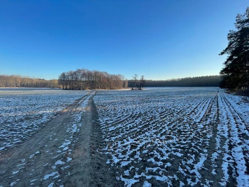 Eggersdorf 1