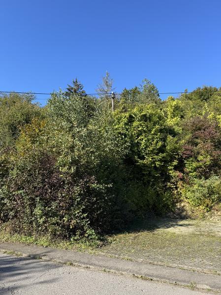 Bild 5 Blick von der Seite,Ortsstraße