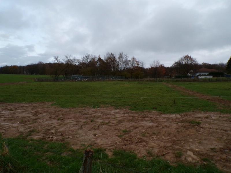2b Blick von Straße auf Grund (und Gelände dahinter)