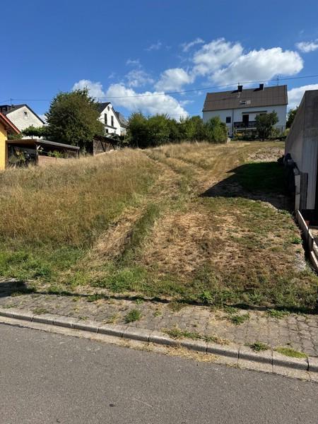 1 Grundstück vom Seiftweg aus