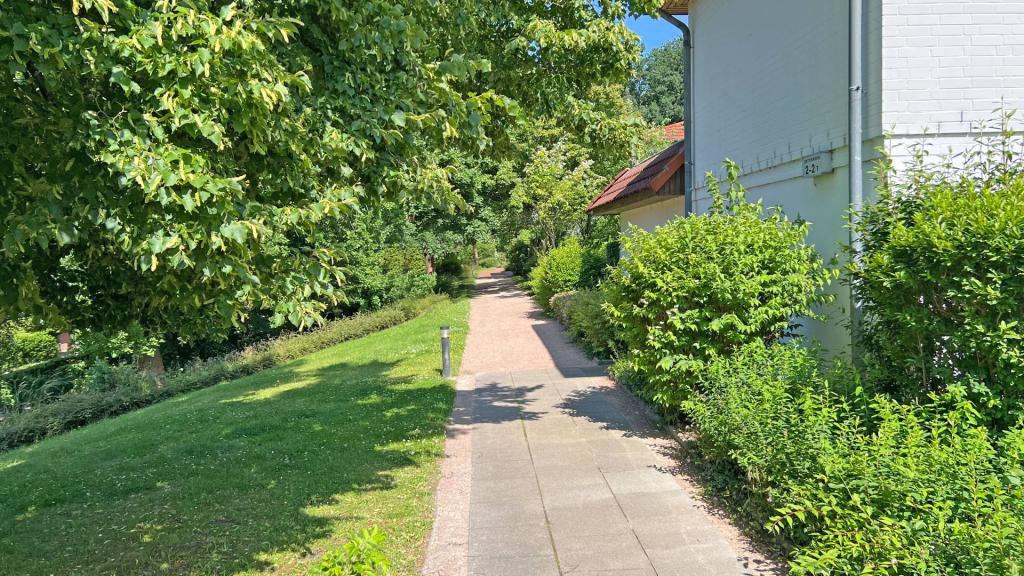 oberirdischer Kellereingang