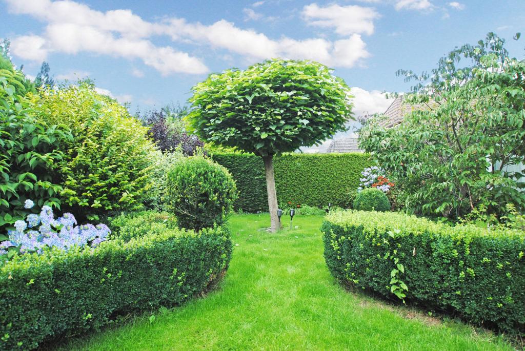 Der Garten