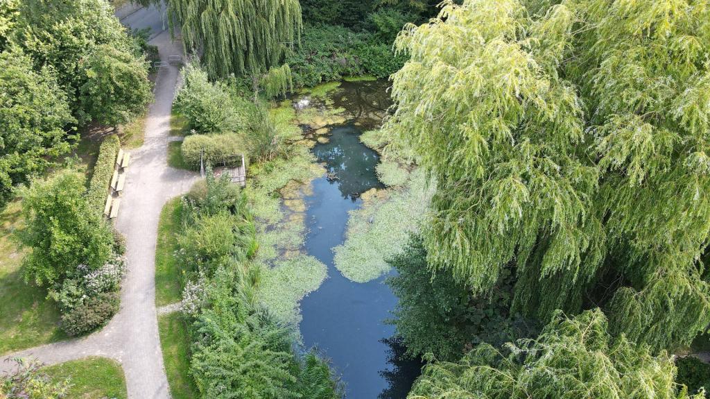 der kleine See im anliegenden Park