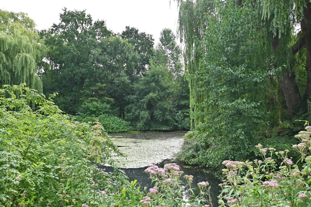 der kleine See im Park