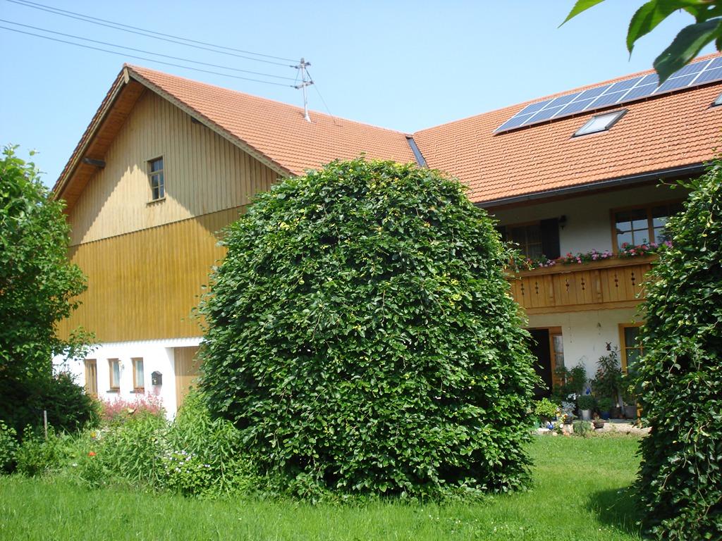 DSC01251.JPG
