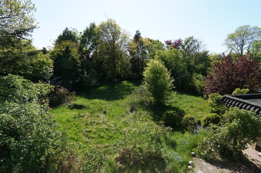 _29095.jpg