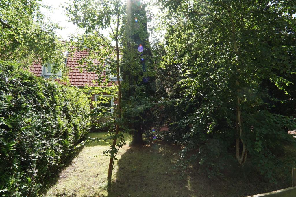 Garten.jpg