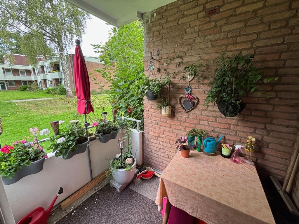 Terassenbalkon.jpg