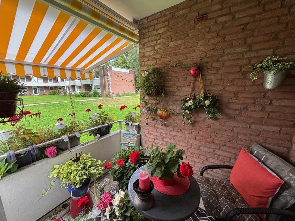 Terrase.jpg