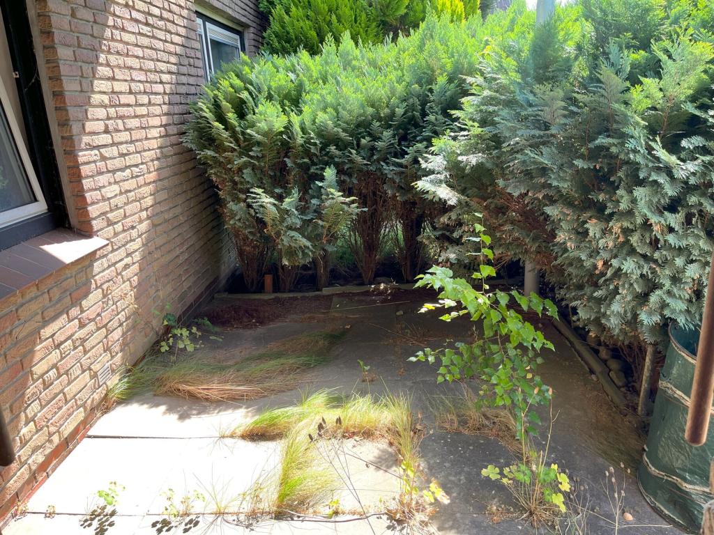 Terrasse.jpg