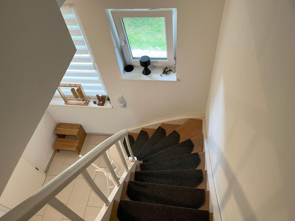 DG_Treppe.jpg