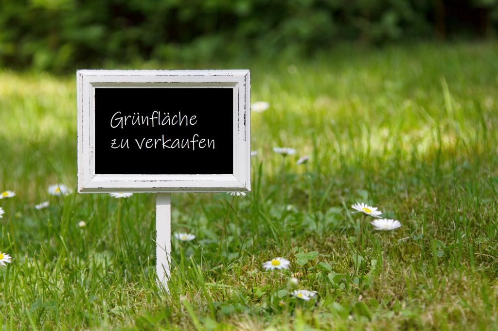 Titelbild.jpg