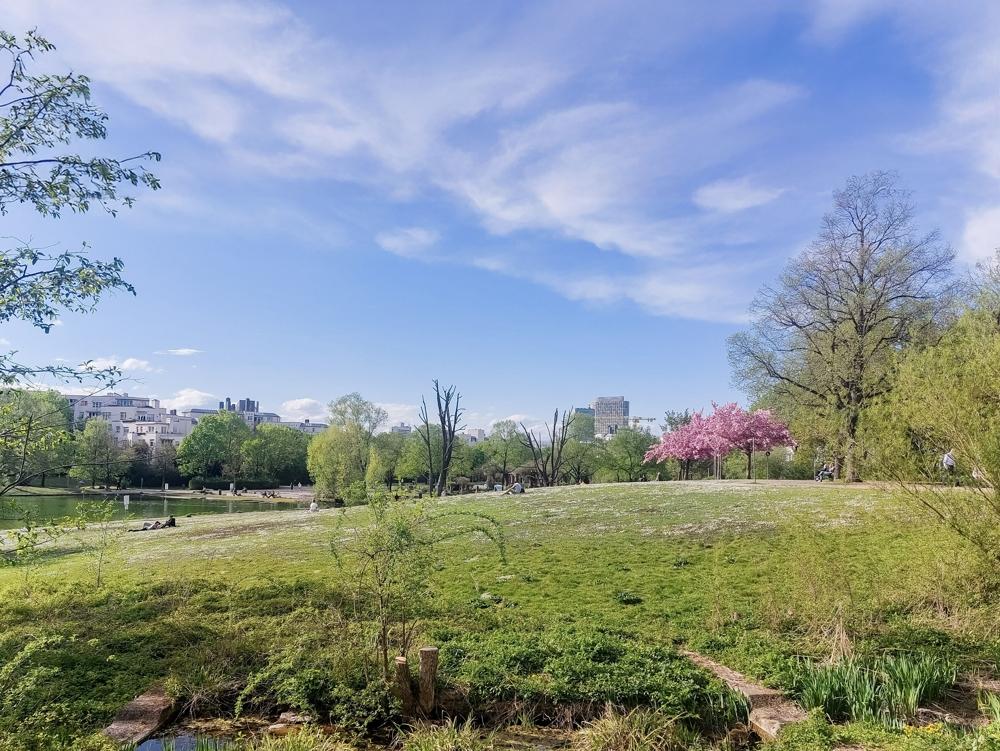 Westpark l Umgebung