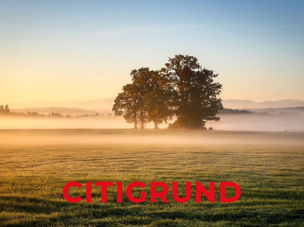 Visualisierung Grundstück