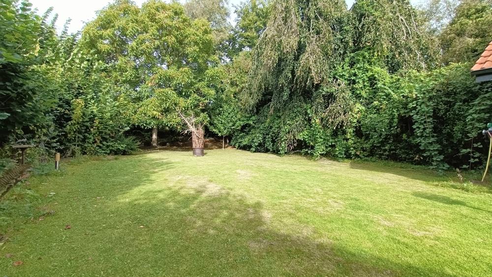 Blick in den Garten