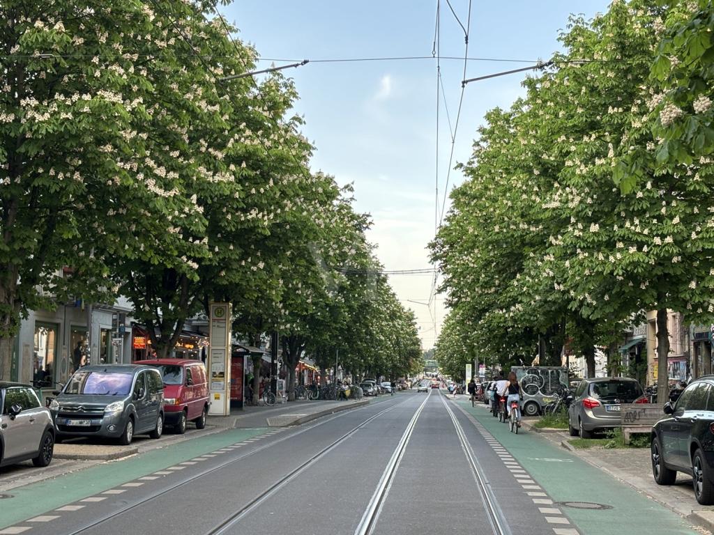 Kastanienallee Blick Richtung Schönhauser Allee