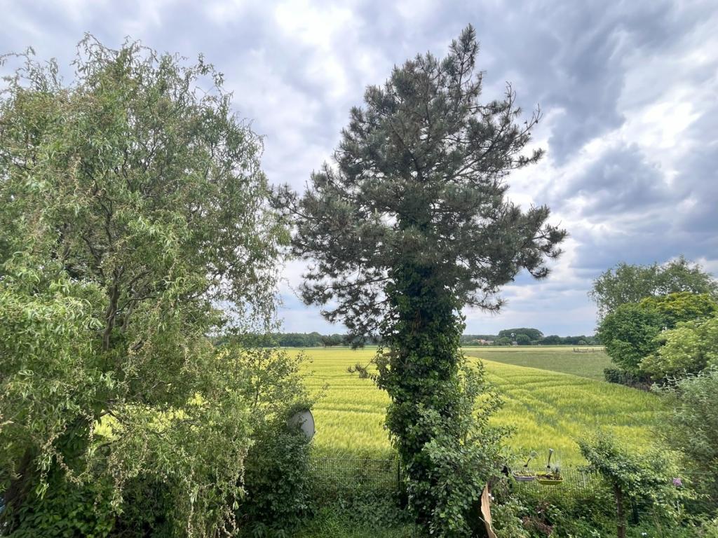 Ausblick Obergeschoss