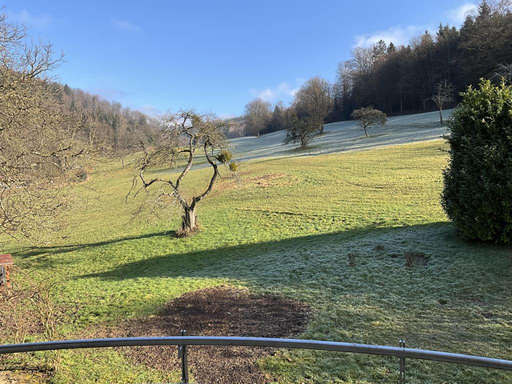 Blick vom oberen Balkon