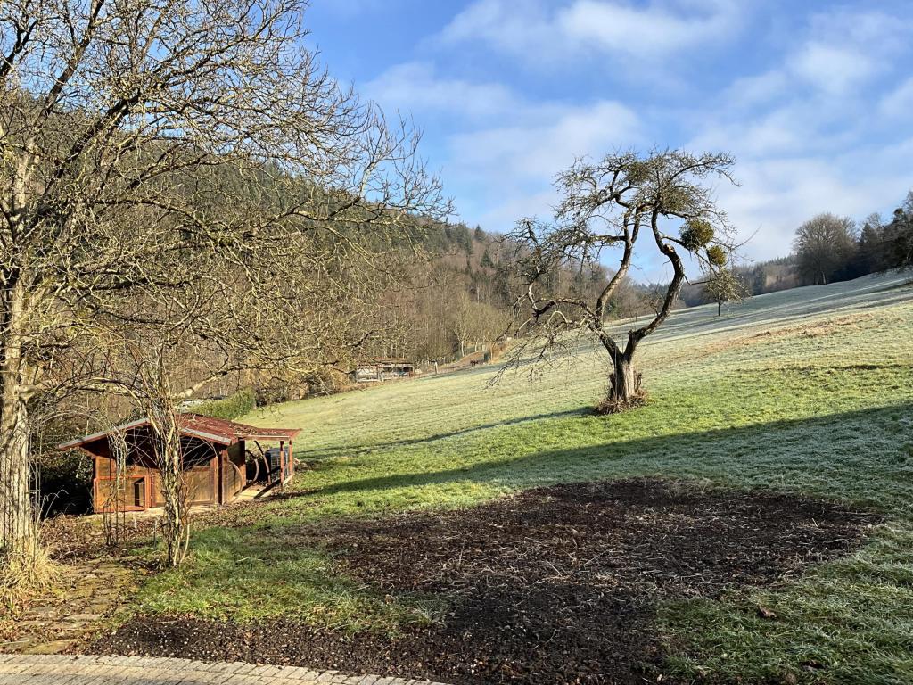Gartengrundstück