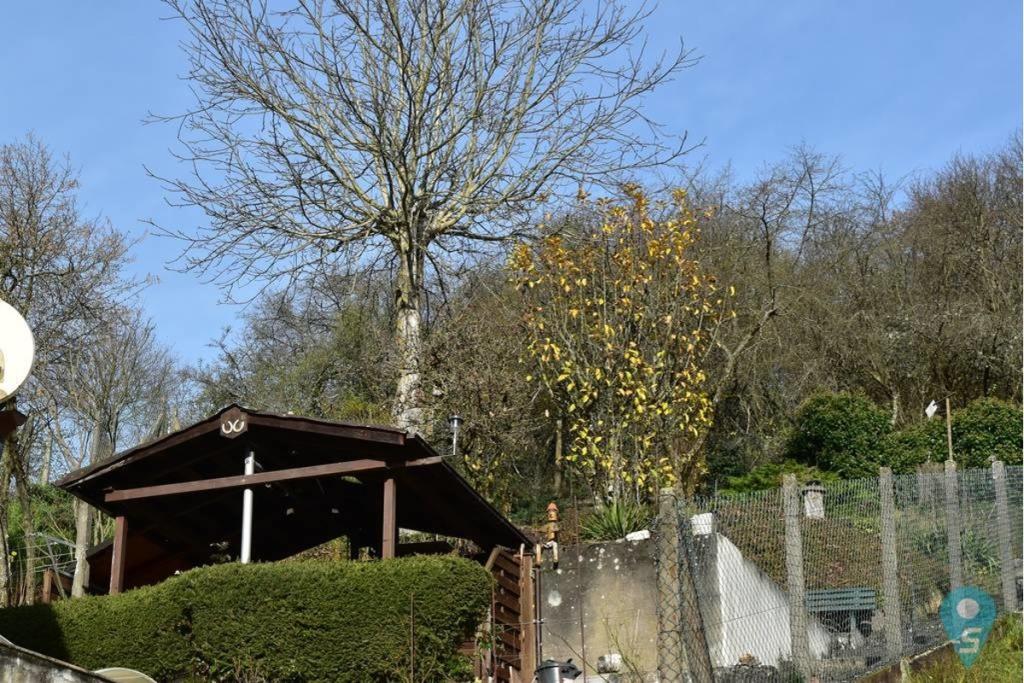 Aussenansicht Foto6, Garten