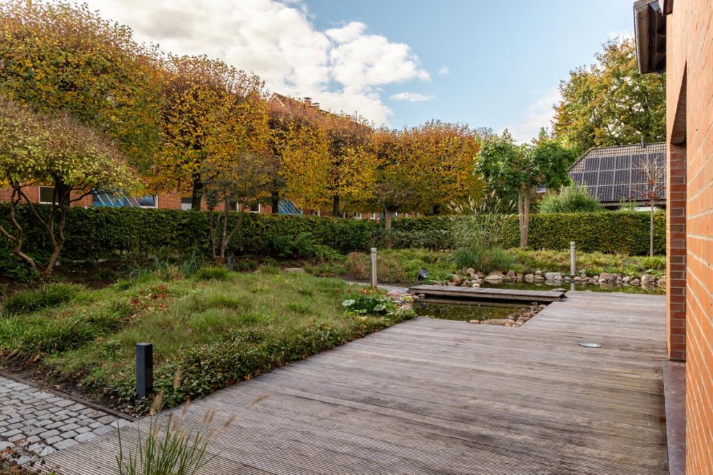 Grundstück/Terrasse (3)