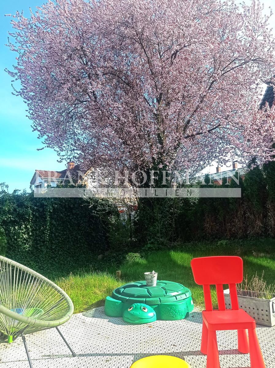 Garten (1)