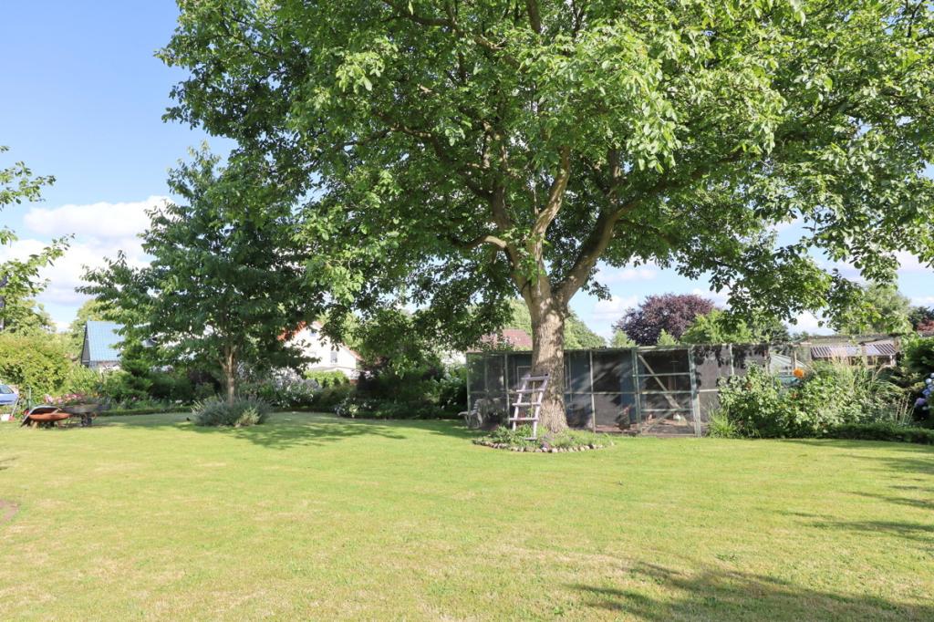 Garten (3)