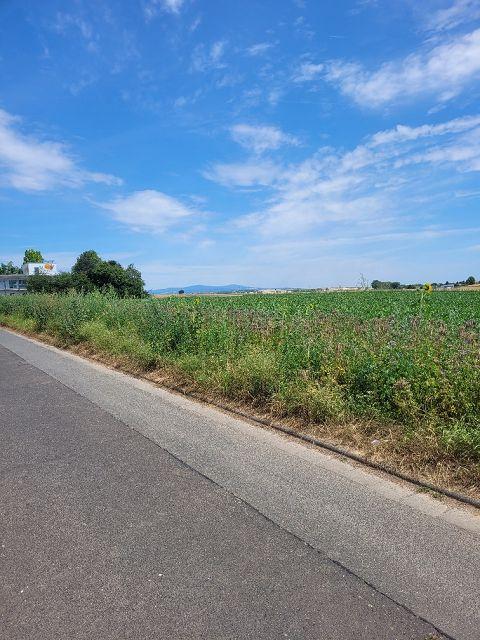 Umgebung