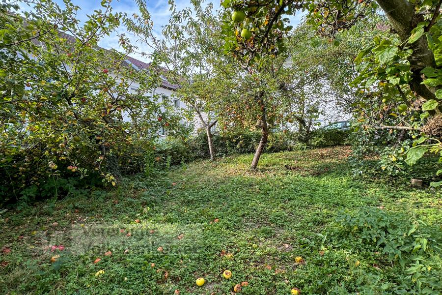 Garten-2