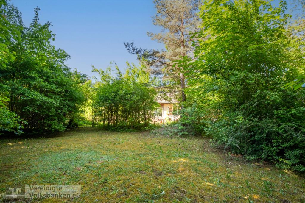 Garten Bild Nr. 2